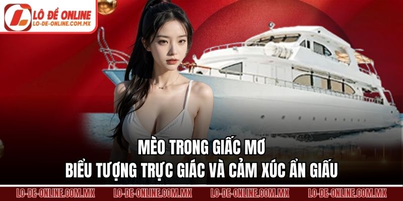 Mèo trong giấc mơ biểu tượng trực giác và cảm xúc ẩn giấu