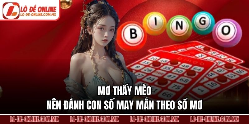 Mơ thấy mèo nên đánh con số may mắn theo sổ mơ