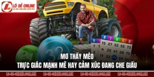 Mơ Thấy Mèo – Trực Giác Mạnh Mẽ Hay Cảm Xúc Đang Che Giấu