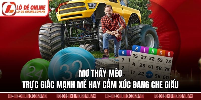 Mơ Thấy Mèo – Trực Giác Mạnh Mẽ Hay Cảm Xúc Đang Che Giấu